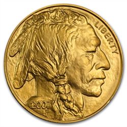 1 oz Gold Buffalo (Abrasions)