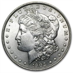1903 Morgan Dollar - Brilliant Uncirculated
