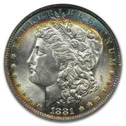 1881-O Morgan Dollar MS-64 NGC - Blue Toning - CAC