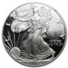 Image 1 : 2001-W Proof Silver American Eagle PF-69 UCAM NGC