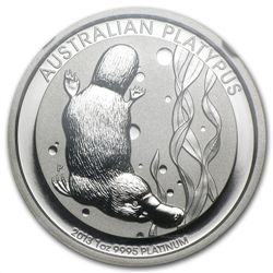 2013 1 oz Australian Platinum Platypus MS-70 NGC