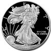 Image 1 : 2002-W (Proof) Silver American Eagle PR-70 DCAM PCGS