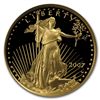 Image 1 : 2007-W 1/10 oz Proof Gold American Eagle PF-70 NGC
