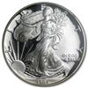 Image 1 : 1994-P Proof Silver American Eagle PF-69 UCAM NGC