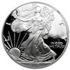 Image 1 : 2001-W Proof Silver American Eagle PF-69 NGC (Retro Bla