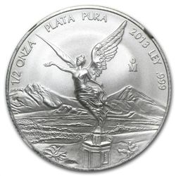 2013 1/2 oz Silver Libertad MS-69 NGC (ER) - Registry S