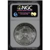 Image 2 : 2006 American Eagle Silver Bullion Coins NGC MS-68