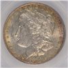 Image 2 : 1878 7TF MORGAN DOLLAR SEGS MS-62 (VAM-110) NICE TONING