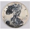 Image 1 : 2012 REV PROOF SILVER AMERICAN EAGLE