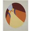 Image 1 : Doug Danz Signed Abstract Canyon Print Proof Terra III