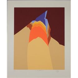 Doug Danz Signed Modern Landscape Print Proof Terra I