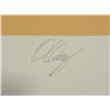 Image 3 : Doug Danz Signed Modern Landscape Print Proof Terra I