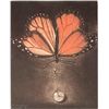 Image 1 : The Pinned Drop by G.H. Rothe