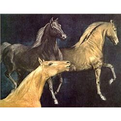 Mustangs by GH Rothe-Original Mezzotint