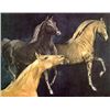 Image 1 : Mustangs by GH Rothe-Original Mezzotint