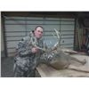 Image 1 : Iowa Non-Resident Whitetail Deer Tag