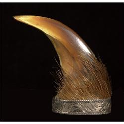 Circa 1900 Silver Mounted Grizzly Bear Claw Engraved Design Probably Tsimshian 3 1/4" L.  Fine Co…