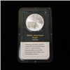 Image 1 : 2000 American Eagle