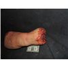 Image 2 : SEVERED UPPER THIGH WITH GORE AT STUMPS