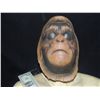 Image 1 : PLANET OF THE APES RICK BAKER BACK GROUND MASK FROM PRODUCTION PAINT TEST?