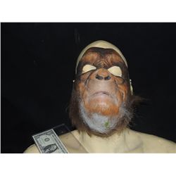 PLANET OF THE APES RICK BAKER BACK GROUND MASK FROM PRODUCTION HAIR TEST?