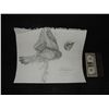 Image 1 : THE MUMMY CONCEPT SKETCH HAND DRAWN & SIGNED ORIGINAL FROM PRODUCTION 3