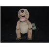 Image 1 : THE BEAVER SCREEN USED HERO PUPPET MEL GIBSON JODY FOSTER