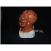 Image 2 : FANTASTIC 4 THING SCREEN USED HERO FULL HEAD WITH FACE ON MICHAEL CHIKLIS LIFE CAST 1