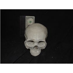 SKULL FOR HAUNT OR INDY FILM USE