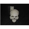 Image 1 : SKULL FOR HAUNT OR INDY FILM USE