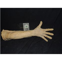 SEVERED ROTTEN ZOMBIE ARM WITH HAND