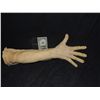 Image 1 : SEVERED ROTTEN ZOMBIE ARM WITH HAND