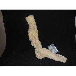 SEVERED THING LIKE ALIEN LEG WITH FOOT