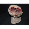 Image 2 : SEVERED HEAD WITH BRAINS BLOWN OUT