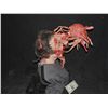 Image 3 : ALIEN EXPLODING MUTANT BRAIN CREATURE FROM HUMAN HEAD BUST OOAK