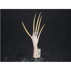ALIEN DEMON MUTANT CLAWS EMERGING FROM FINGERS HAND