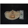 Image 1 : SILICONE HALF FACE APPLIANCE