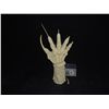 Image 1 : A NIGHTMARE ON ELM STREET FREDDY'S NEW NIGHMARE HAND & GLOVE CASTING