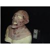 Image 2 : SILICONE FULL HEAD GHOUL MASK