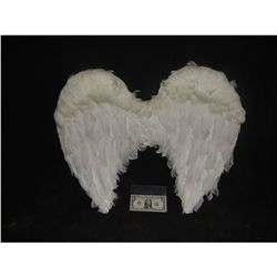 WIZARDS OF WAVERLY PLACE ANGEL WINGS WHITE SCREEN USED STATIC SET