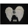 Image 2 : WIZARDS OF WAVERLY PLACE ANGEL WINGS WHITE SCREEN USED STATIC SET