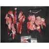 Image 1 : LADY GAGA MEAT DRESS USED IN PROMOTIONAL APPEARANCES