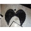 Image 1 : WIZARDS OF WAVERLY PLACE ANGEL WINGS BLACK SCREEN USED STATIC SET 1