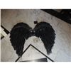 Image 2 : WIZARDS OF WAVERLY PLACE ANGEL WINGS BLACK SCREEN USED STATIC SET 3