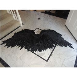 WIZARDS OF WAVERLY PLACE JUSTIN RUSSO DAVID HENRIE BLACK ANGEL WINGS SCREEN USED WORKING HERO SET