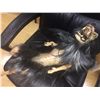 Image 1 : WEREWOLF BABY LATEX PUPET FROM UNKNOWN PRODUCTION