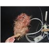 Image 2 : DYING BLOODY DOG PUPPET YORKSHIRE TERRIER WITH CABLES & CONTROLLER