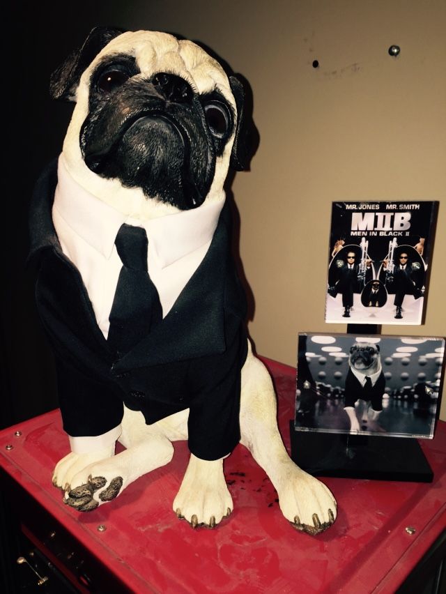 MEN IN BLACK REPLICA FRANK THE PUG DISPLAY