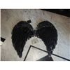 Image 2 : WIZARDS OF WAVERLY PLACE ANGEL WINGS BLACK SCREEN USED STATIC SET 1