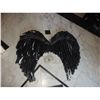 Image 1 : WIZARDS OF WAVERLY PLACE ANGEL WINGS BLACK SCREEN USED STATIC SET 2
